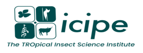 icipe